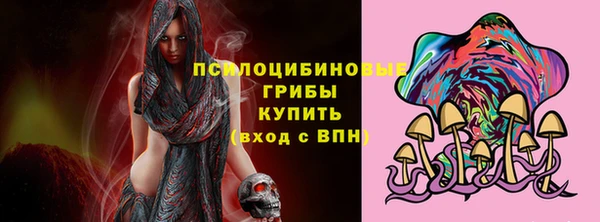 хмурый Бородино