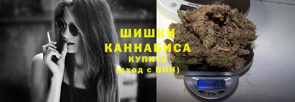 круглые Бронницы