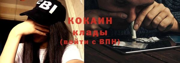 хмурый Бородино