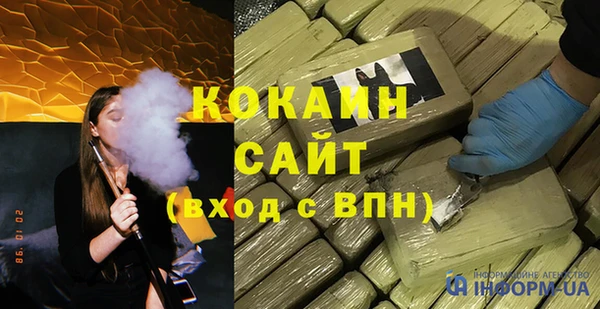 хмурый Бородино