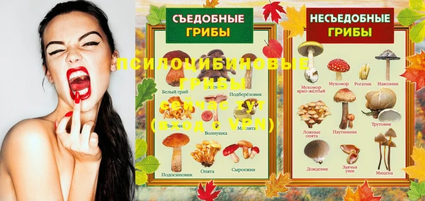 хмурый Бородино