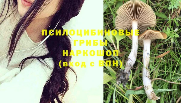 хмурый Бородино