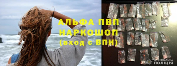 хмурый Бородино