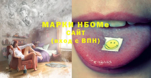хмурый Бородино