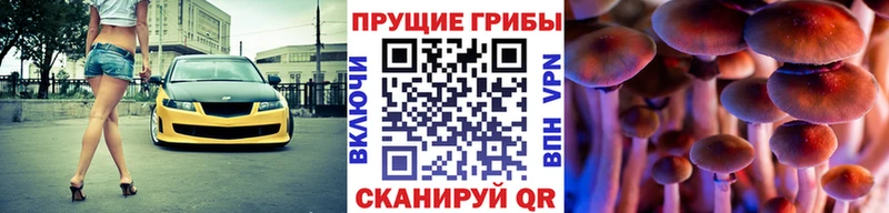 Псилоцибиновые грибы GOLDEN TEACHER  Купить  Лукоянов 